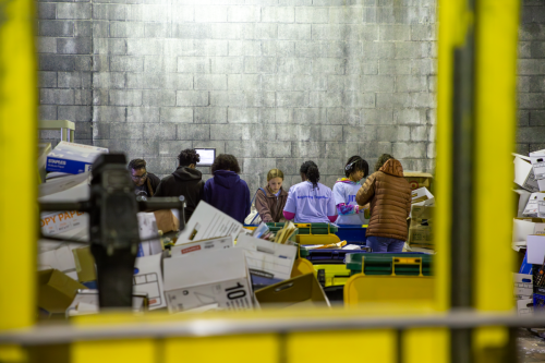 IMG 8249-Enhanced-NR